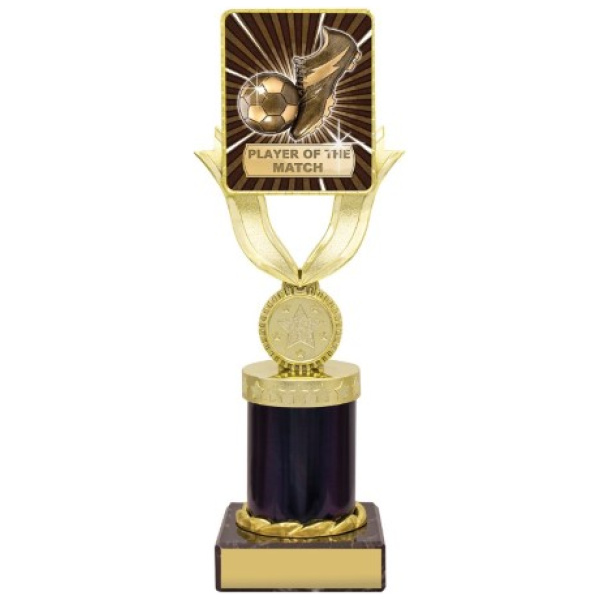 Lynx Bold - Player of the Match