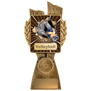 Antique Gold Lynx - Volleyball