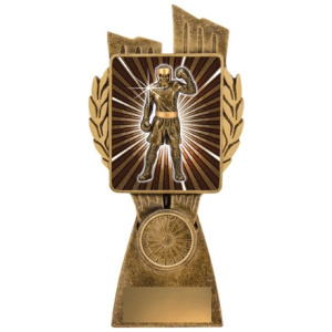 Antique Gold Lynx - Boxing