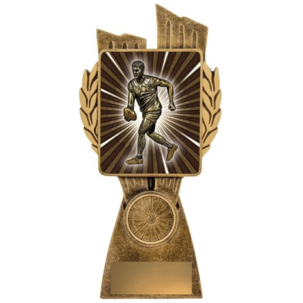 Antique Gold Lynx - Male Aussie Rules