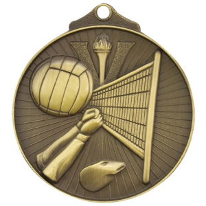 Volleyball Medal