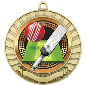 Eco Scroll - Cricket