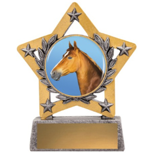 Mini Star Colour - Horse