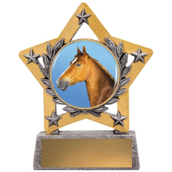 Mini Star Colour - Horse
