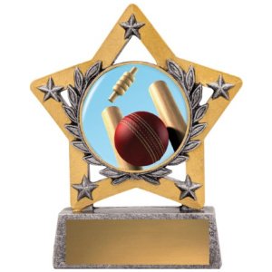 Mini Star Colour - Cricket
