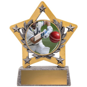 Mini Star Colour - Batting