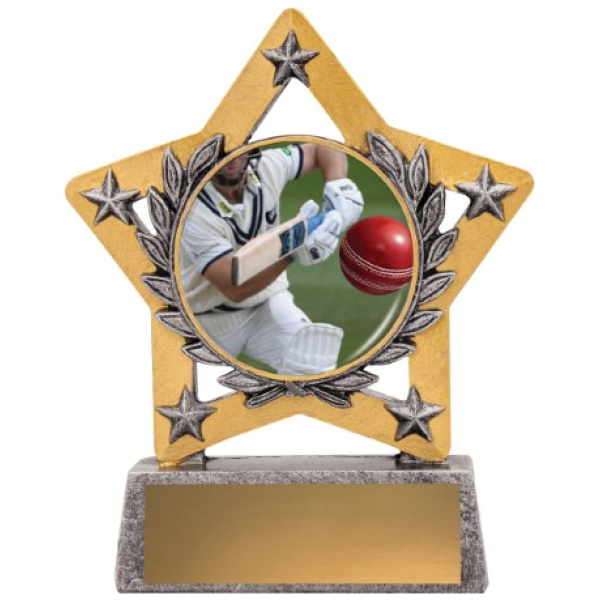 Mini Star Colour - Batting