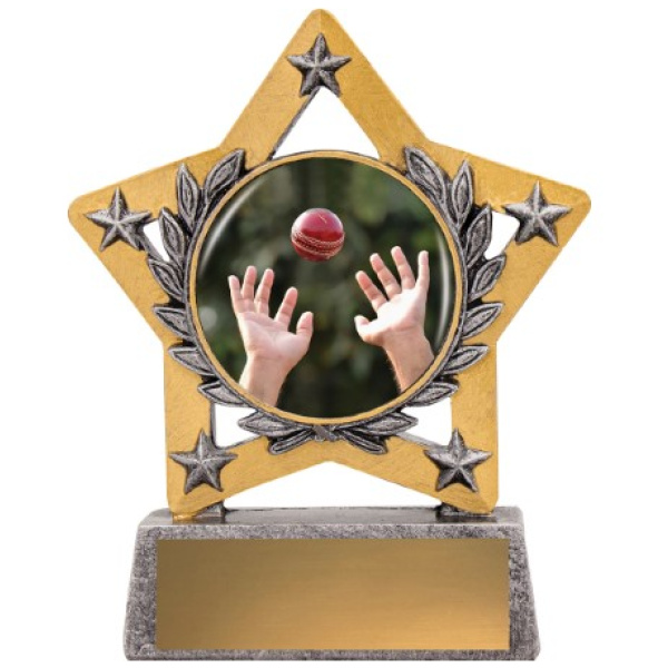Mini Star Colour - Fielding