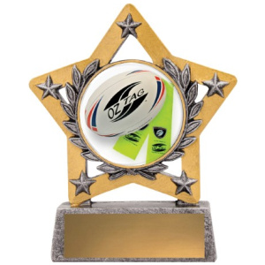 Mini Star Colour - Tag