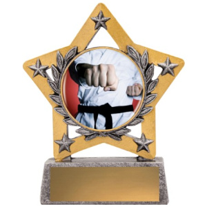 Mini Star Colour - Martial Arts