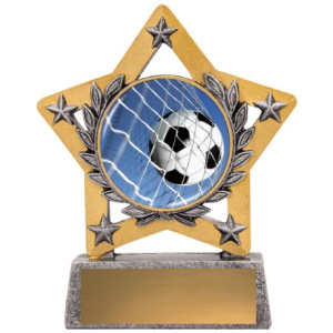 Mini Star Colour - Ball in Net