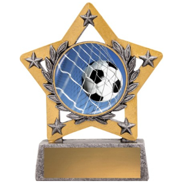 Mini Star Colour - Ball in Net