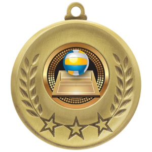 Laurel Medal - Volleyball