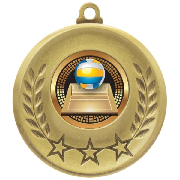 Laurel Medal - Volleyball