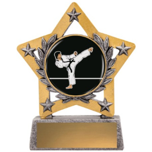 Mini Star Colour - Karate