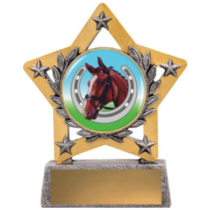 Mini Star Colour - Horse Shoe