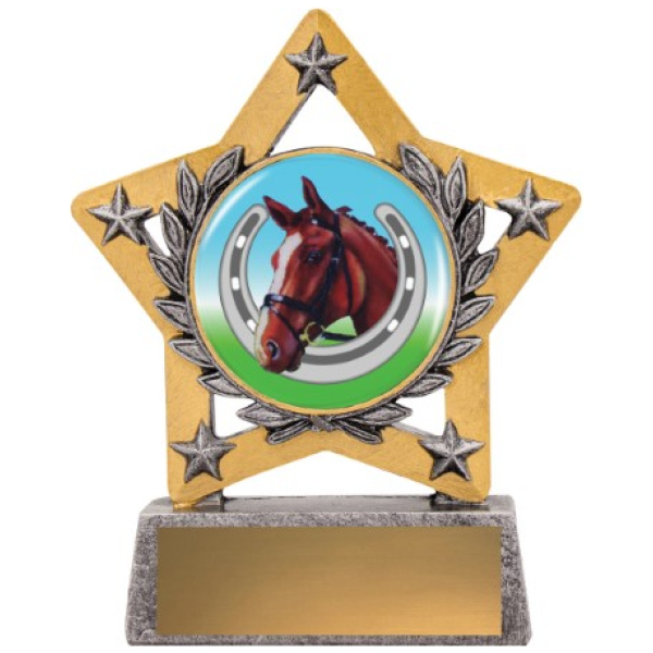 Mini Star Colour - Horse Shoe