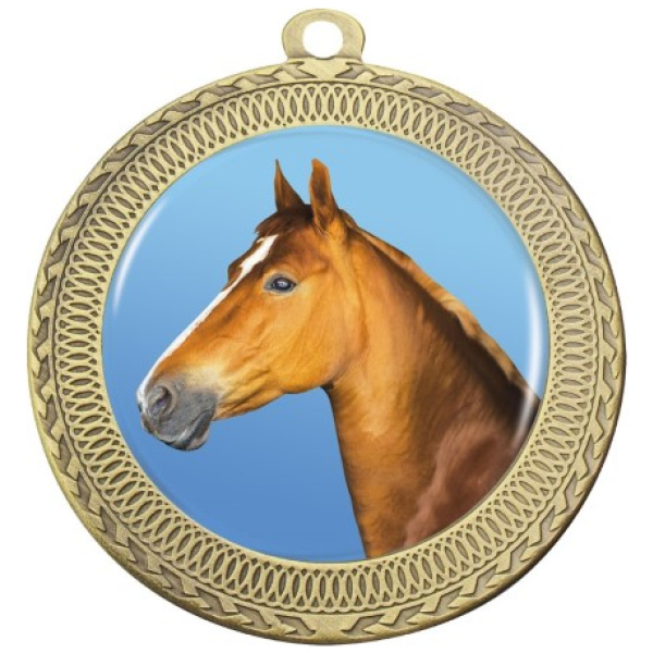 Ovation - Horse