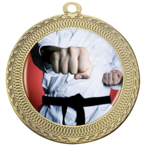 Ovation - Martial Arts