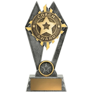 Peak - Coach Award