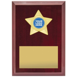 Star Plaque - Gold