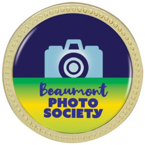 Lapel Pin - Designer