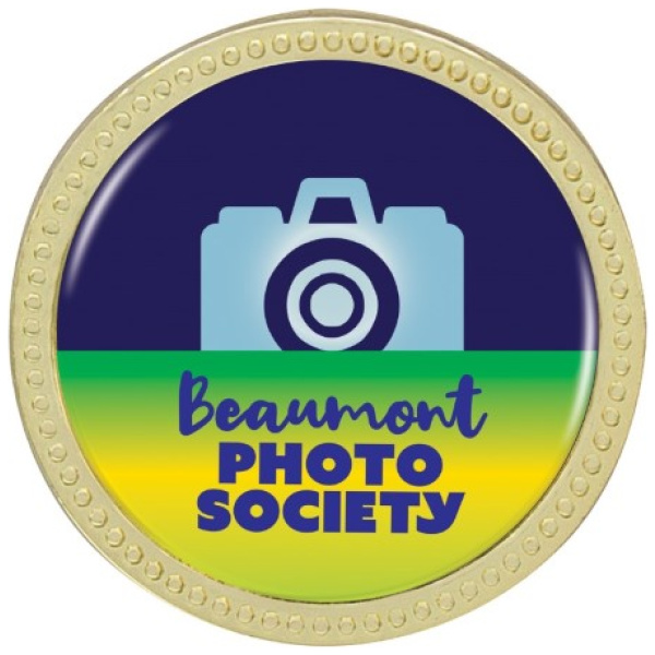 Lapel Pin - Designer