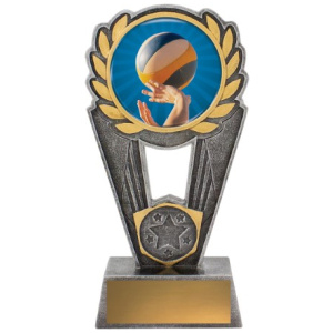 Volleyball Polaris - Colour