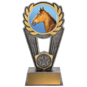 Horse Polaris - Colour