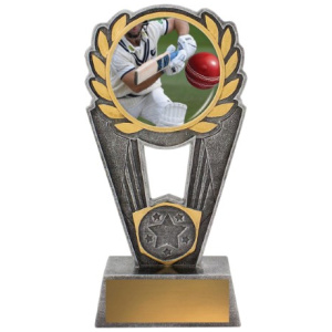 Cricket Polaris - Batting