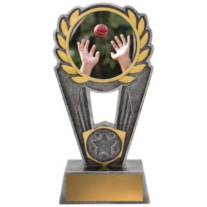 Cricket Polaris - Fielding