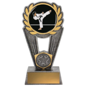 Karate Polaris - Colour