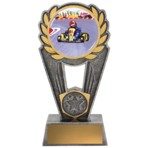 Go Kart Polaris - Colour