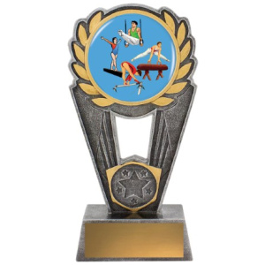 Gymnastics Polaris - Colour