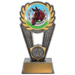 Horse Shoe Polaris - Colour