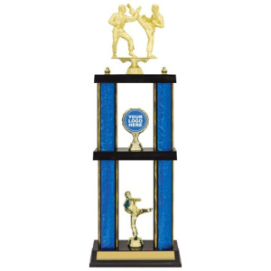 Wildcat Double Poster