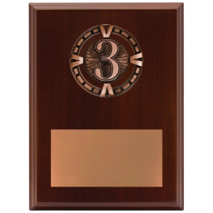 Varsity Plaque - 3rd