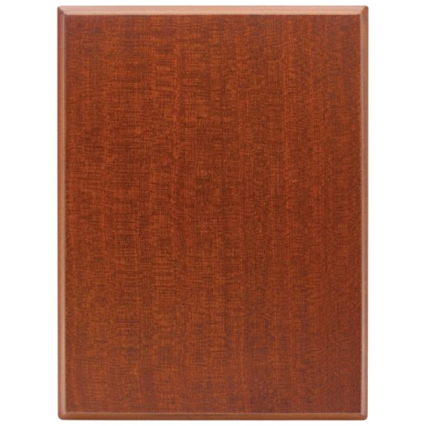 Craftsman Plaque
