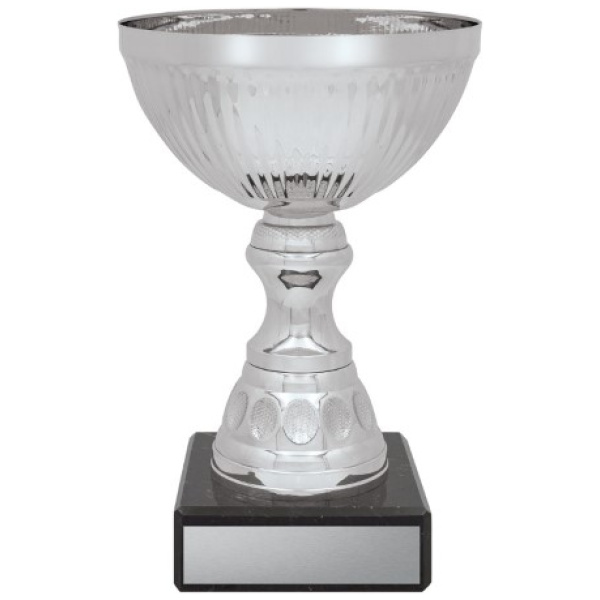 Reverie Cup - Silver