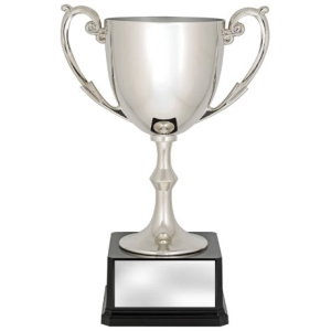 Recognition Cups
