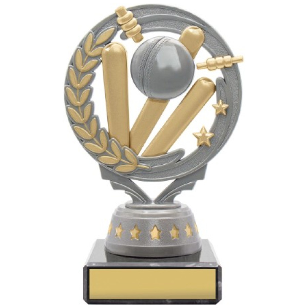 Cricket Torch