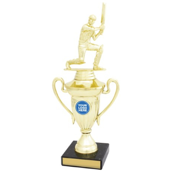Cricket Signal Cup