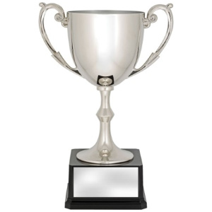 Recognition Cups