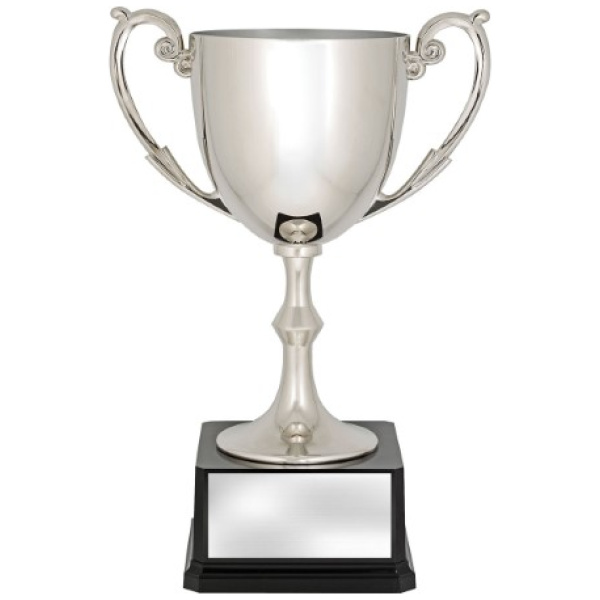 Recognition Cups
