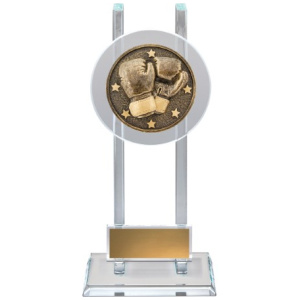 Boxing Spartan Glass