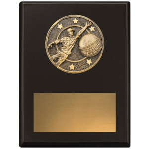 Challenge Plaque - Fielding