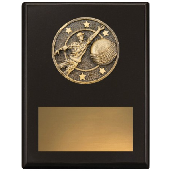 Challenge Plaque - Fielding