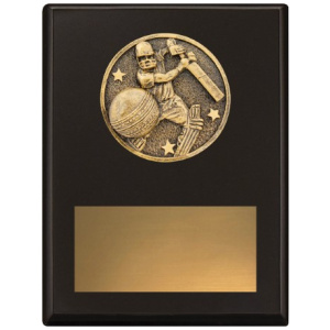 Challenge Plaque - Batting