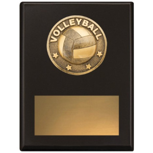 Challenge Plaque - Volleyball