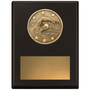 Challenge Plaque - Swim